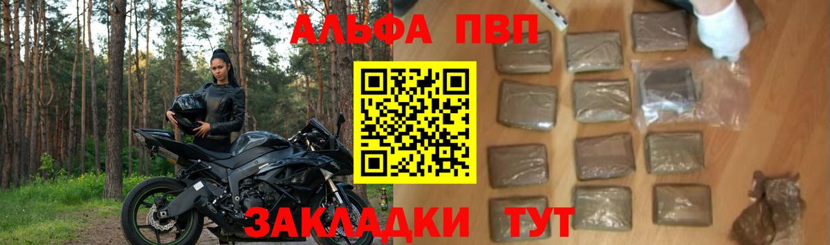 Alfa_PVP СК КРИС Губкинский